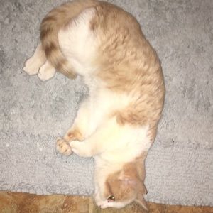 Meet your posher, Aubrey!